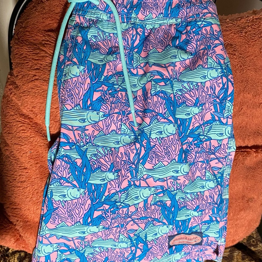 ViNEYARD ViNES Pink and Blue Swim Trunks Men’s M Shorts Beach Travel